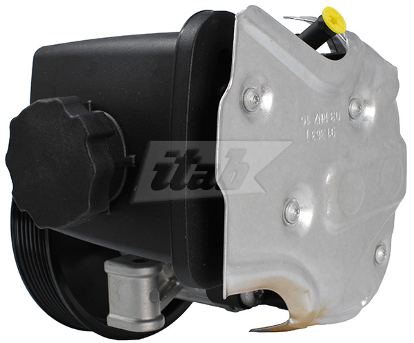 Hydraulic Pump, steering (42076120AV)