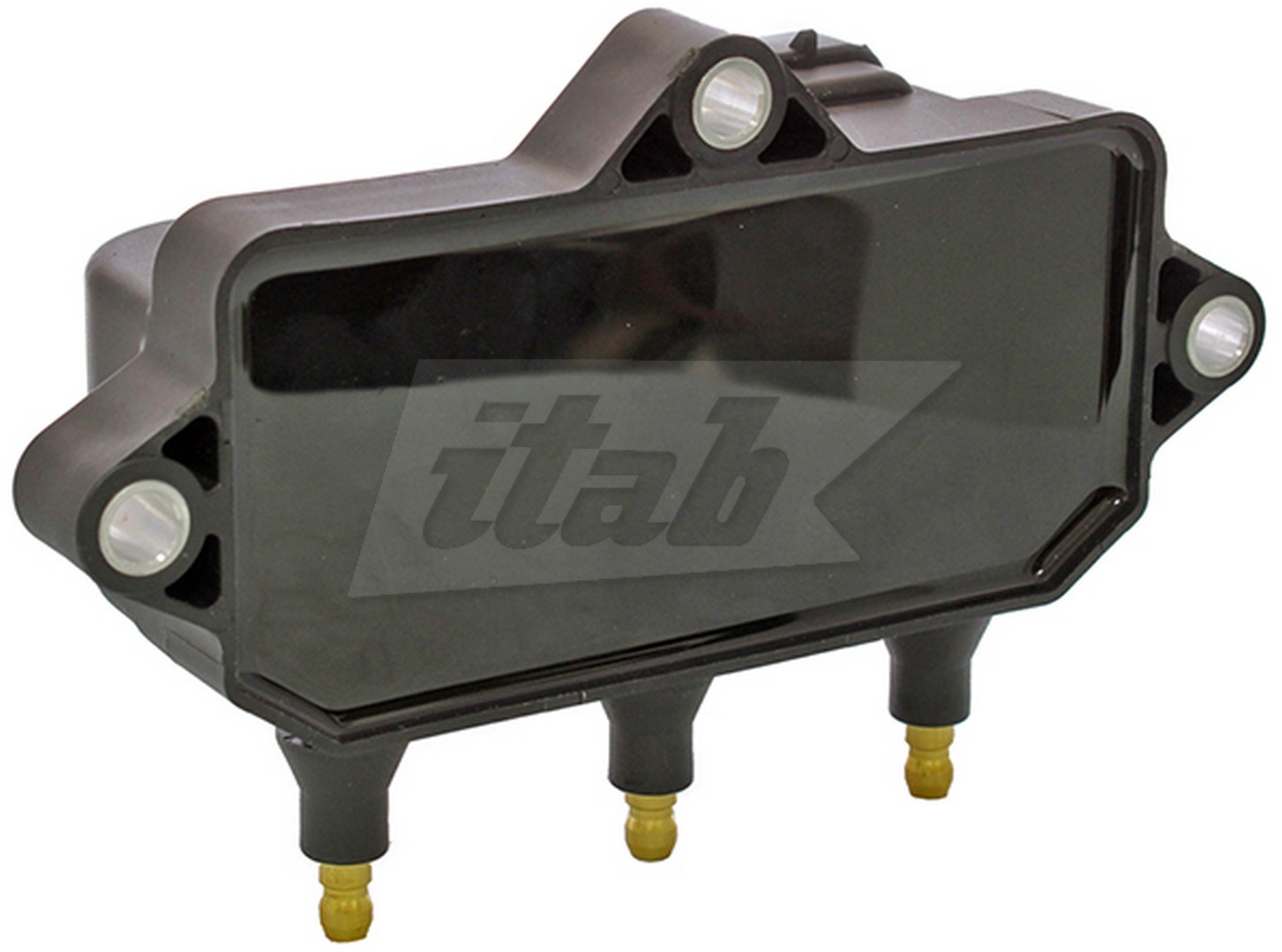 Ignition Coil (80077007AV)