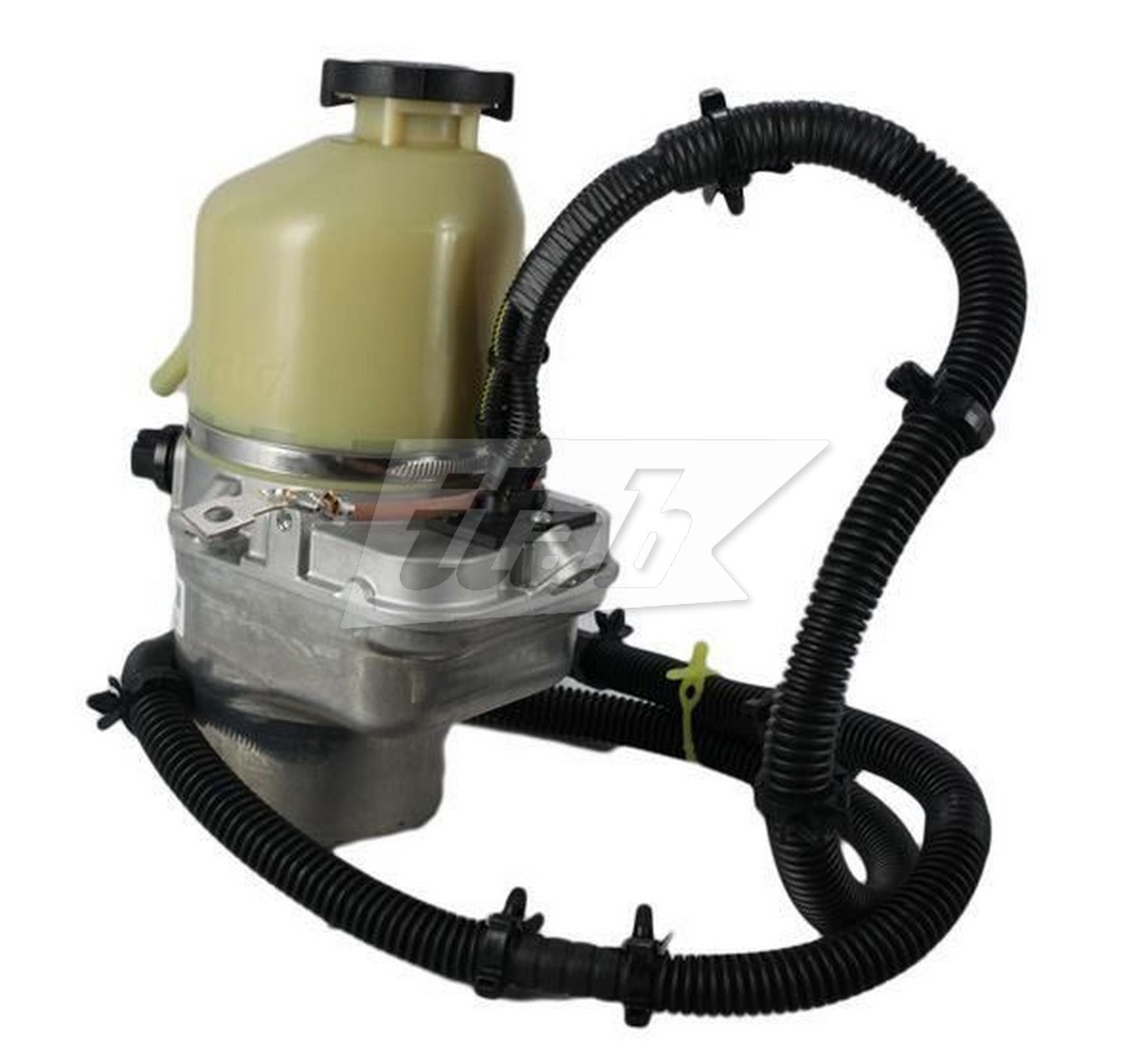 Hydraulic Pump, steering (42077302OV)