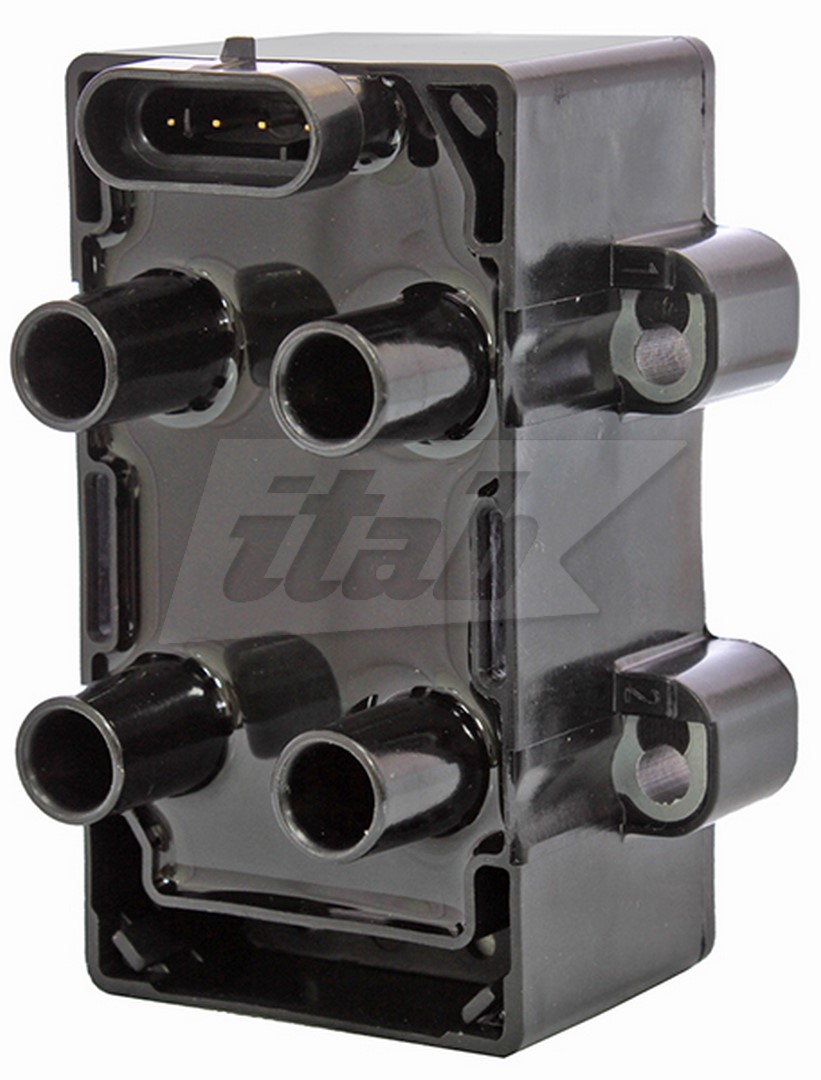 Ignition Coil (80071002AV)