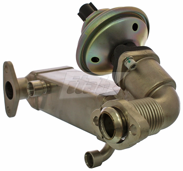 EGR Module