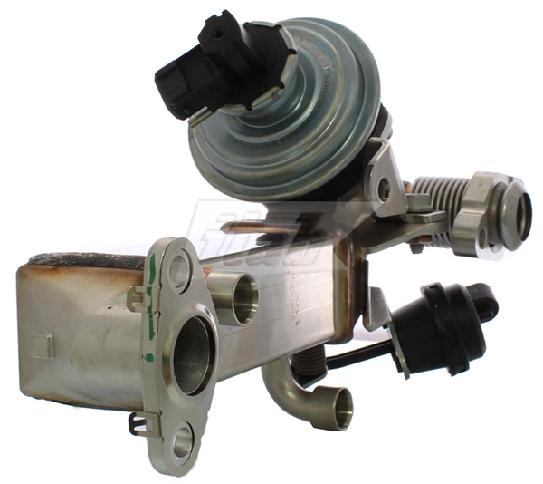 EGR Module