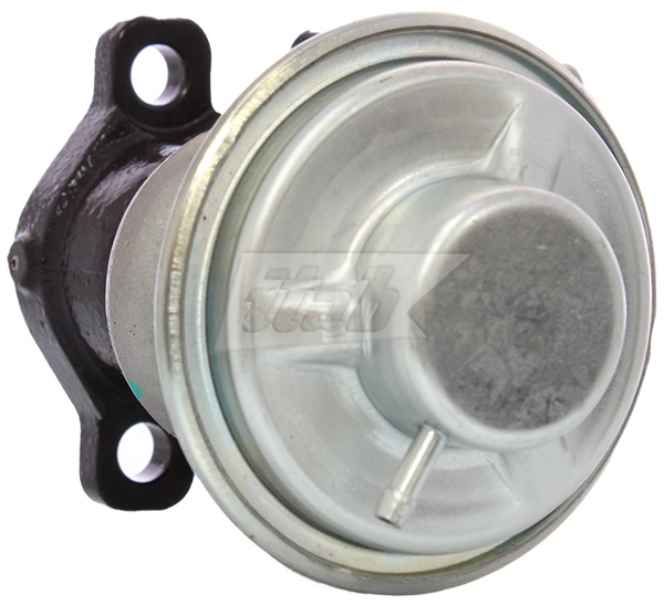 EGR Valve (73074012AV)