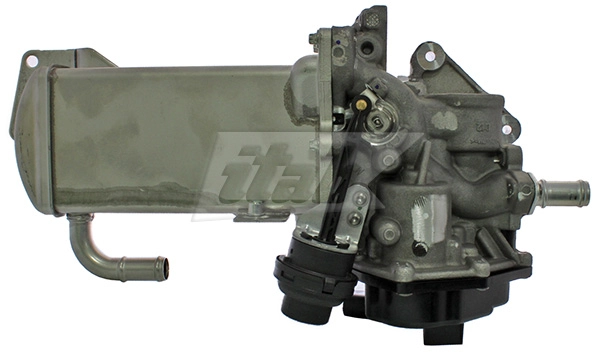 EGR Module