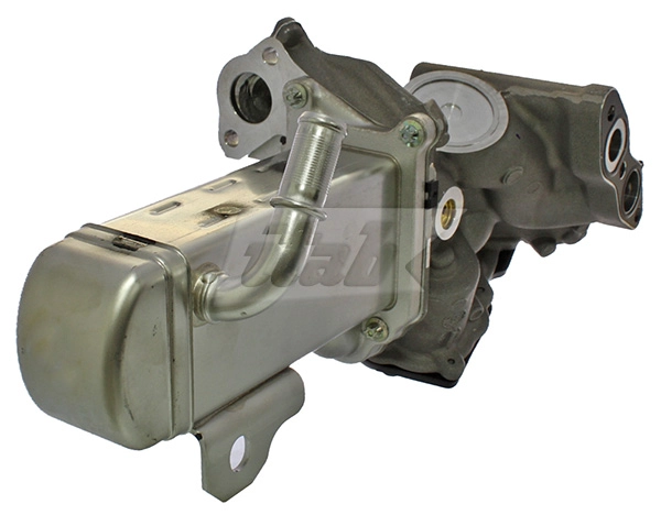 EGR Module