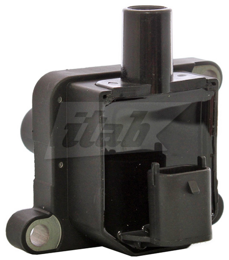 Ignition Coil (80074010AV)
