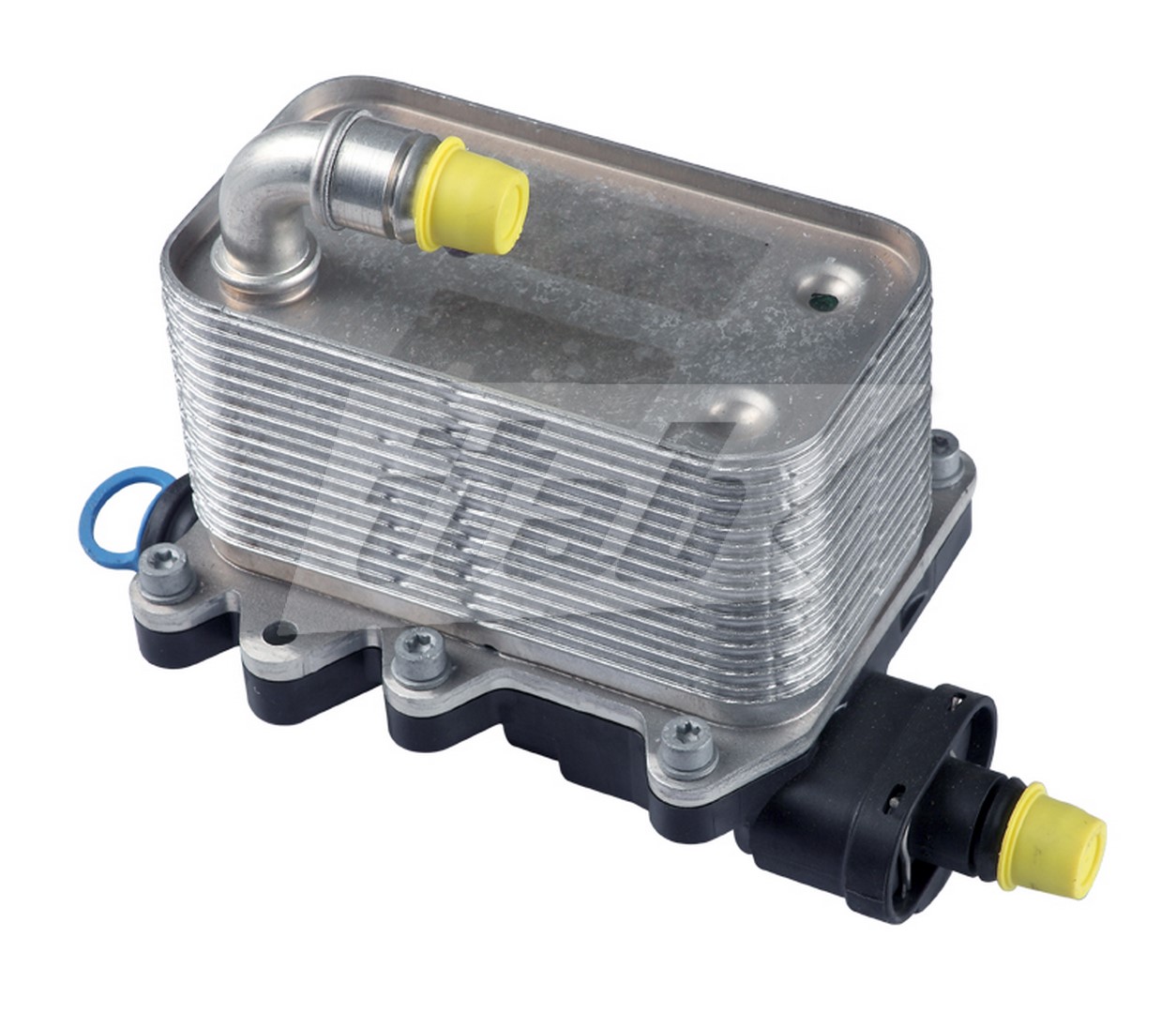 Oil Cooler, engine oil (93075007AV)