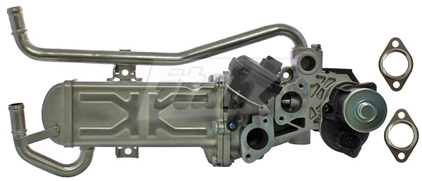 EGR Module