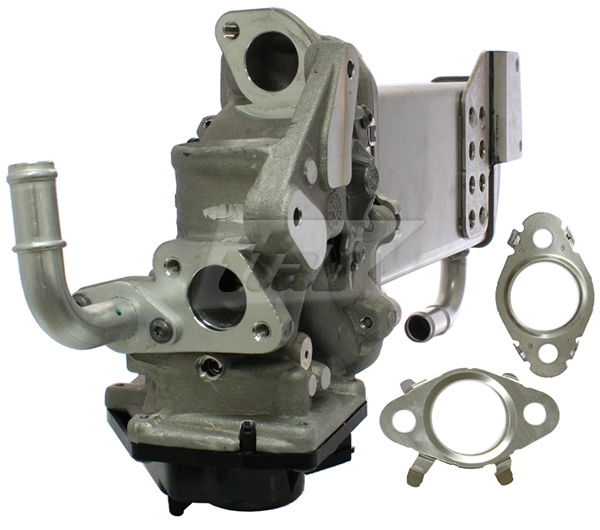 EGR Module (70073003AV)