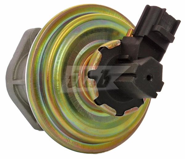 EGR Valve (73072014AV)