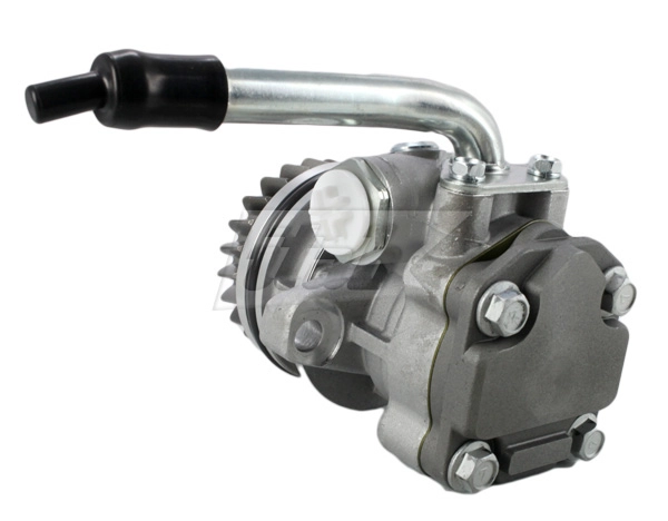 Hydraulic Pump, steering (42073140AV)