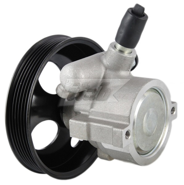 Hydraulic Pump, steering (42072149AV)