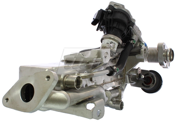 EGR Module
