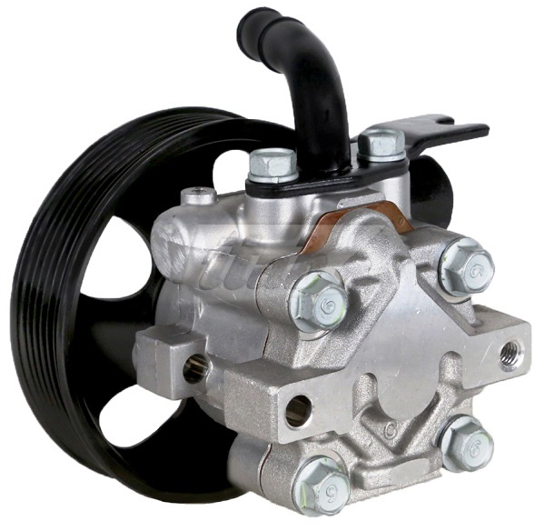 Hydraulic Pump, steering (42078104OV)