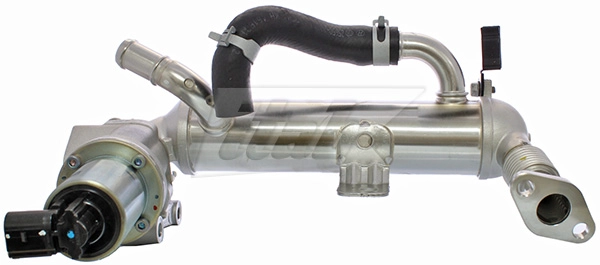 EGR Module