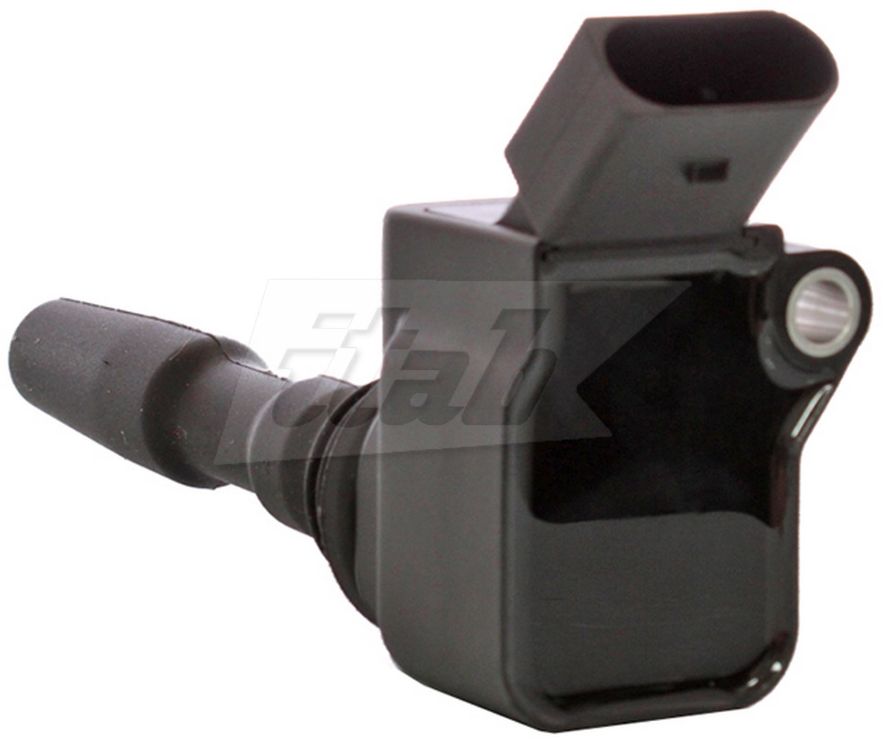 Ignition Coil (80073003AV)