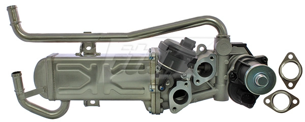 EGR Module