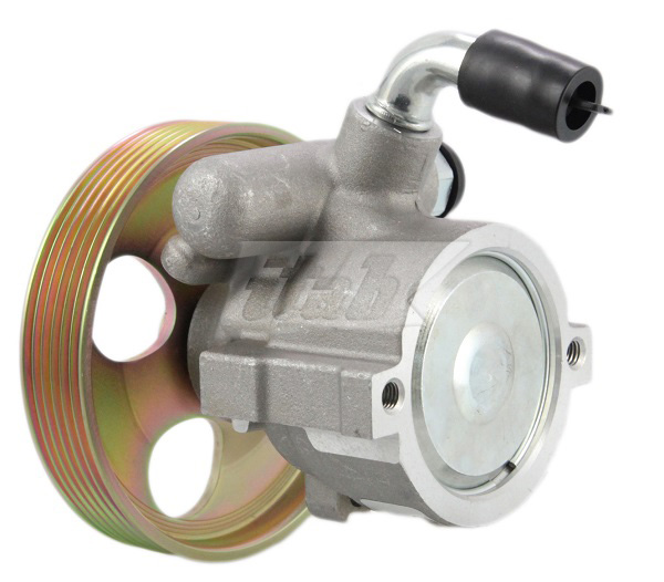 Hydraulic Pump, steering (42070110AV)