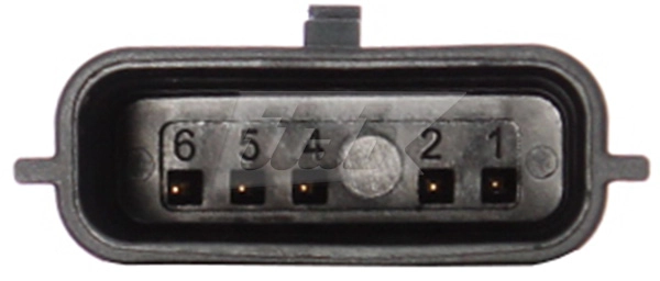 EGR Valve