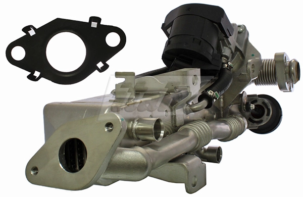 EGR Module
