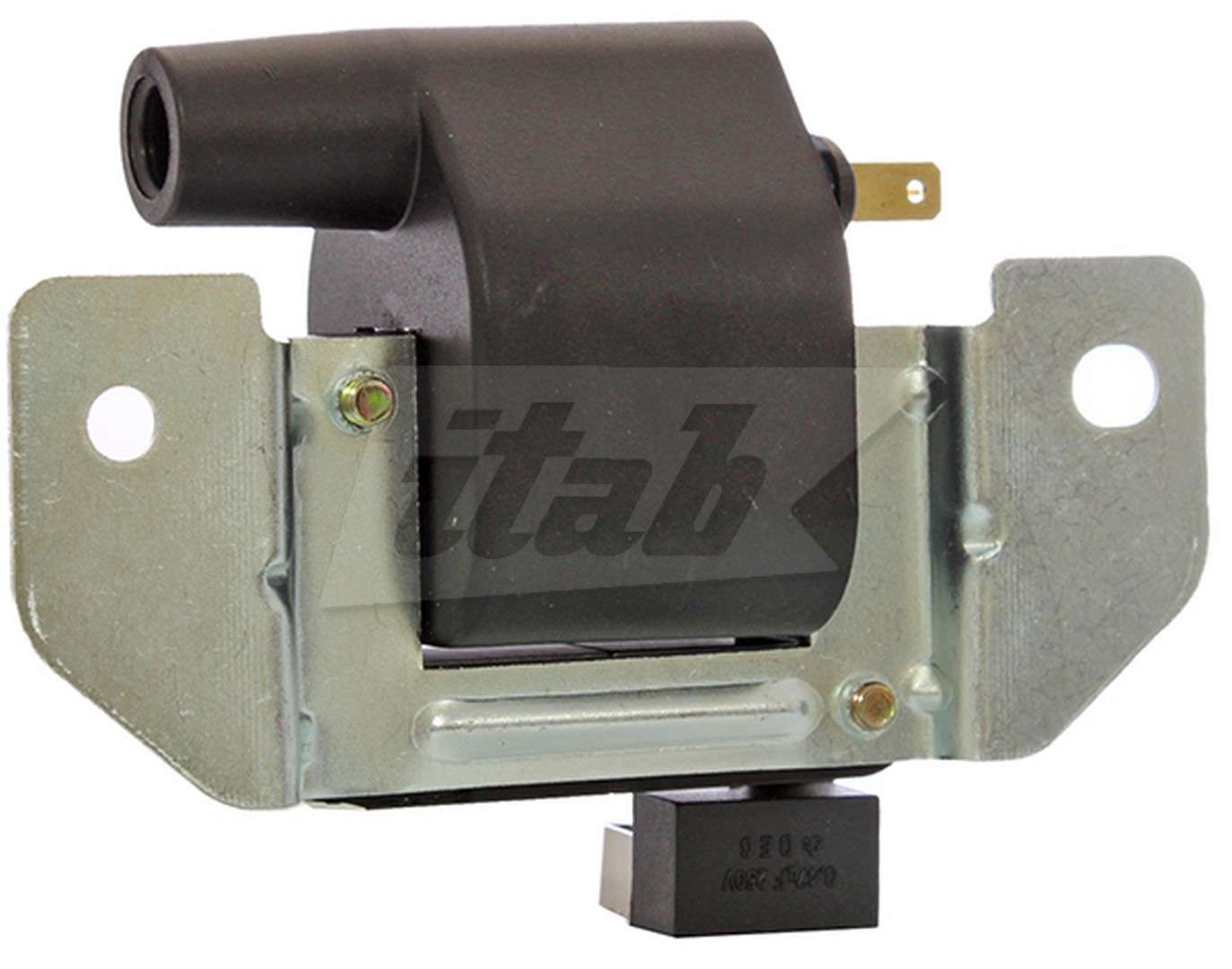 Ignition Coil (80077010AV)