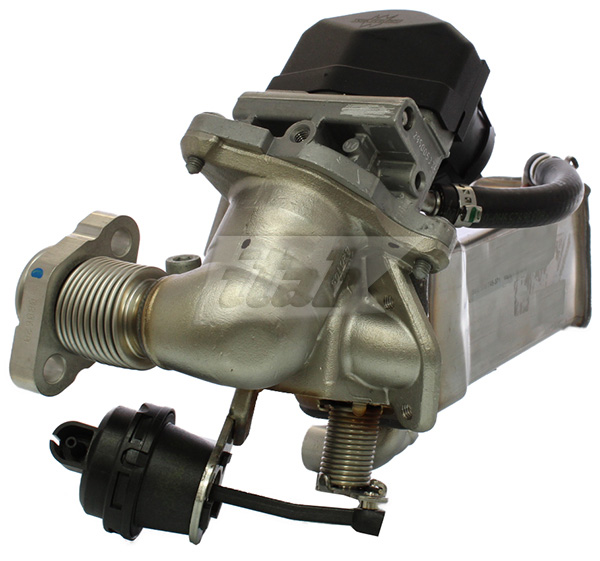 EGR Module (70075006OV)