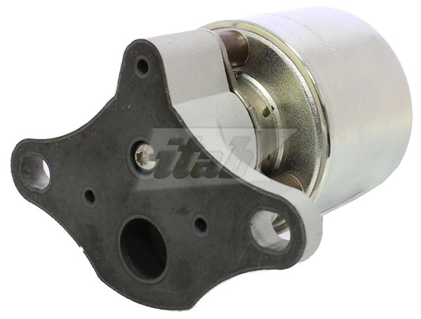 EGR Valve (73077003OV)