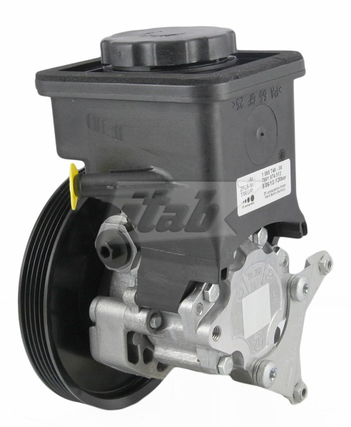 Hydraulic Pump, steering (42075117RV)