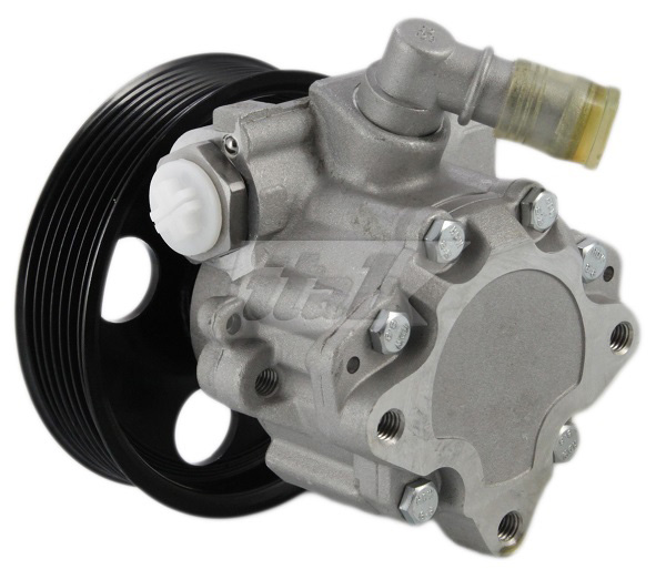 Hydraulic Pump, steering (42076119AV)