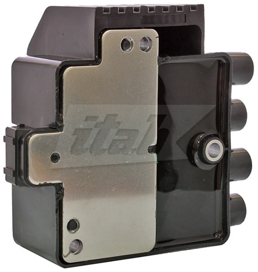 Ignition Coil (80077005AV)