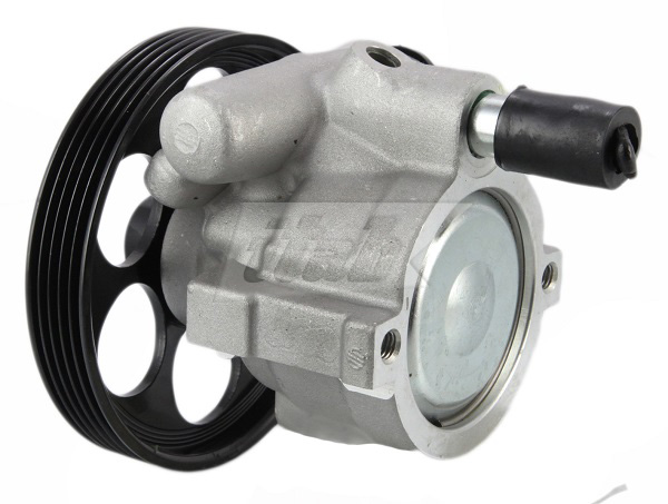 Hydraulic Pump, steering (42071115AV)