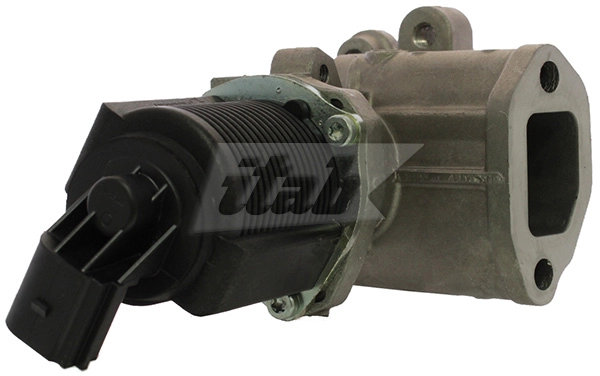 EGR Valve (73074007OV)