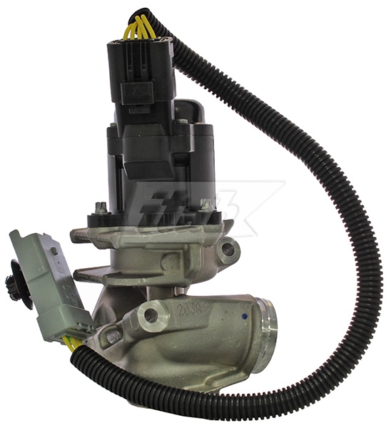 EGR Valve (73072002AV)