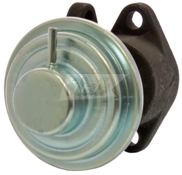 EGR Valve (73072009AV)