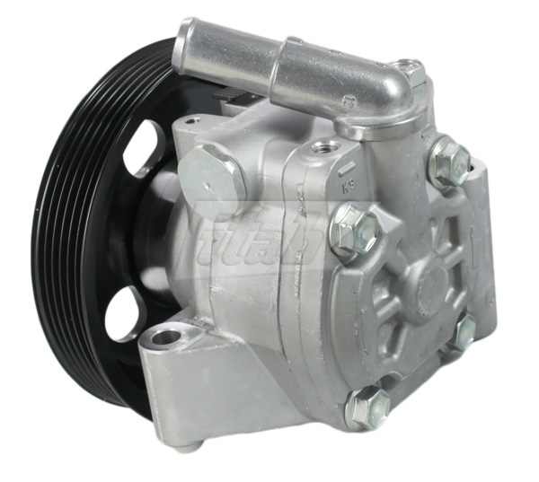 Hydraulic Pump, steering (42072121OV)