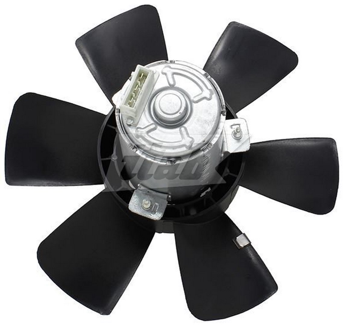 Fan, engine cooling