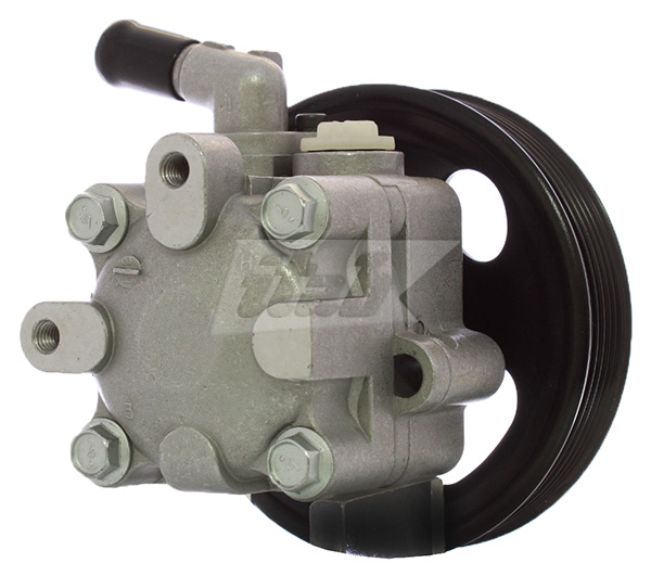 Hydraulic Pump, steering (42071106AV)