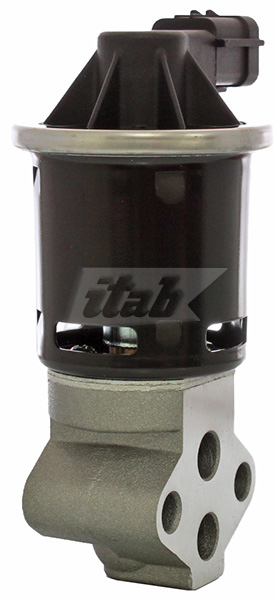 EGR Valve (73077002OV)