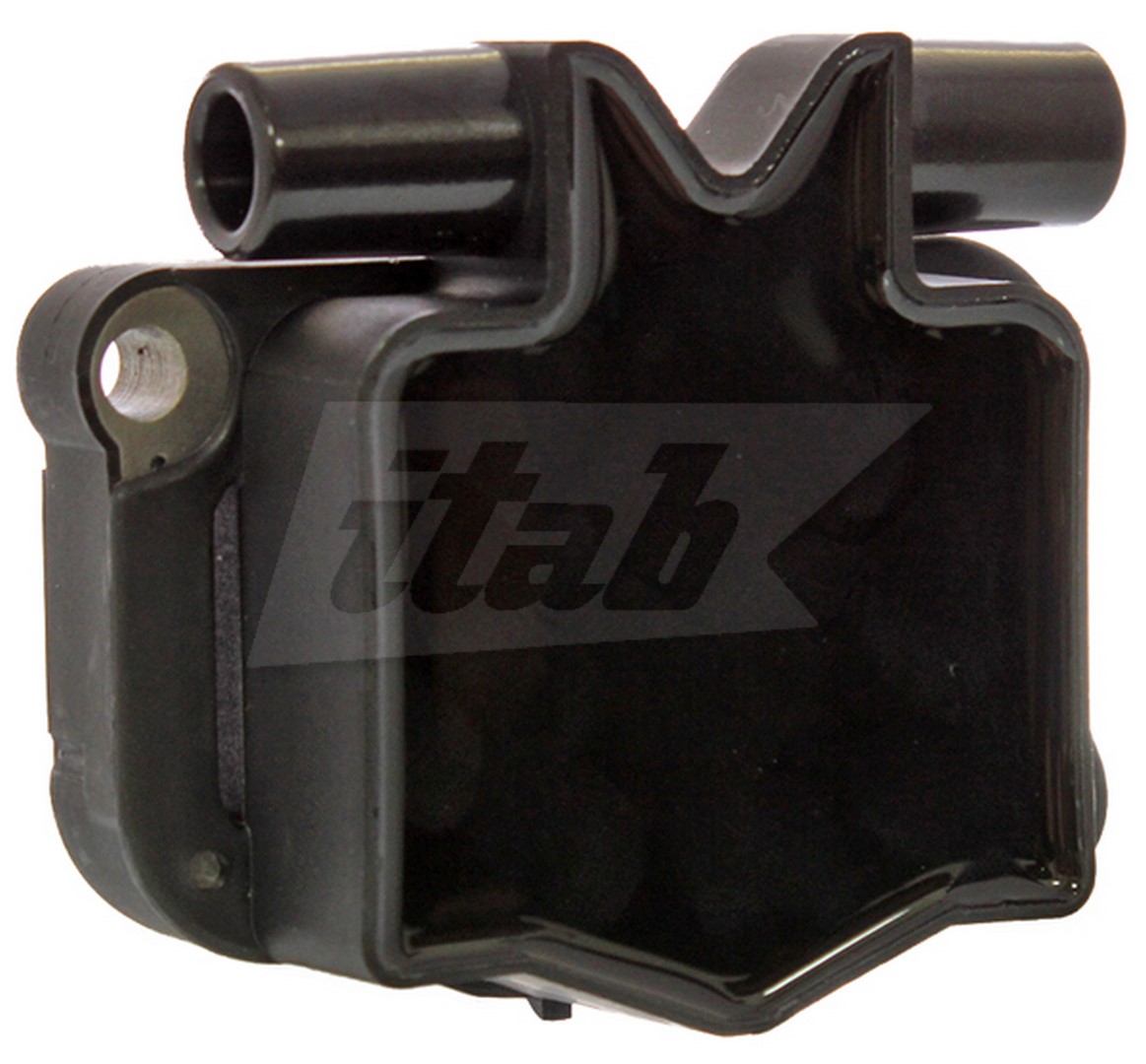 Ignition Coil (80076004AV)