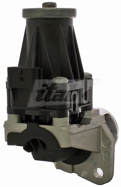 EGR Valve (73071026OV)