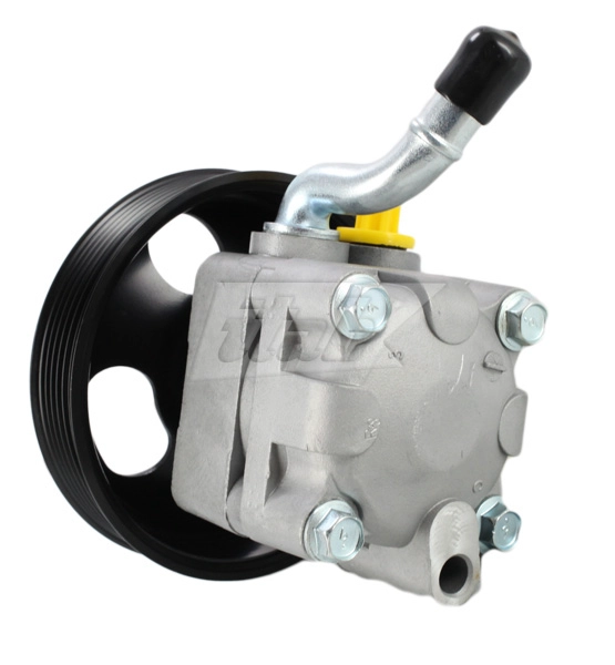 Hydraulic Pump, steering (42071110AV)