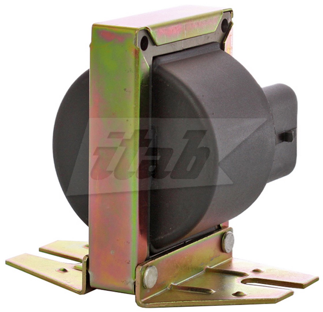 Ignition Coil (80074009AV)