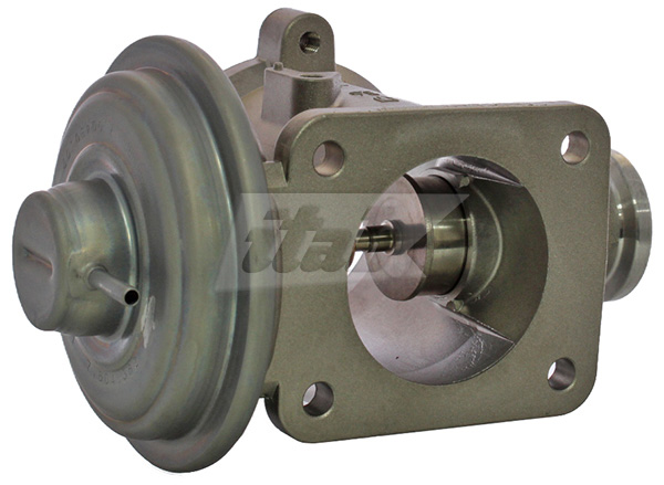 EGR Valve (73075004OV)