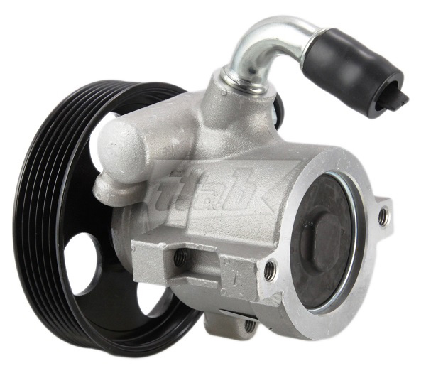 Hydraulic Pump, steering (42070128AV)