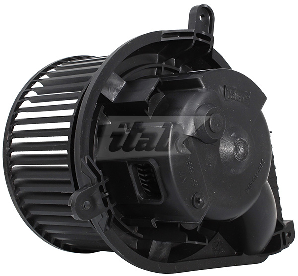 Interior Blower (50076000AV)