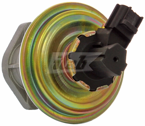 EGR Valve (73072007AV)