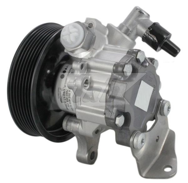 Hydraulic Pump, steering (42076106OV)