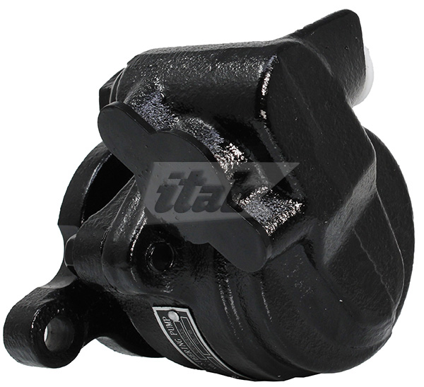 Hydraulic Pump, steering (42086105AV)