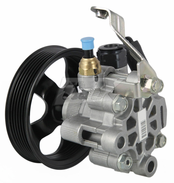 Hydraulic Pump, steering (42086108AV)