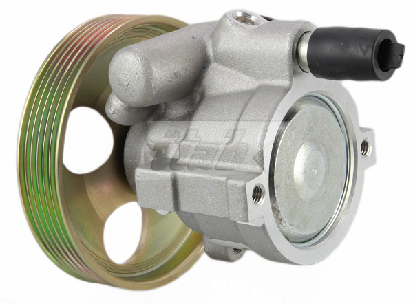 Hydraulic Pump, steering (42071111OV)